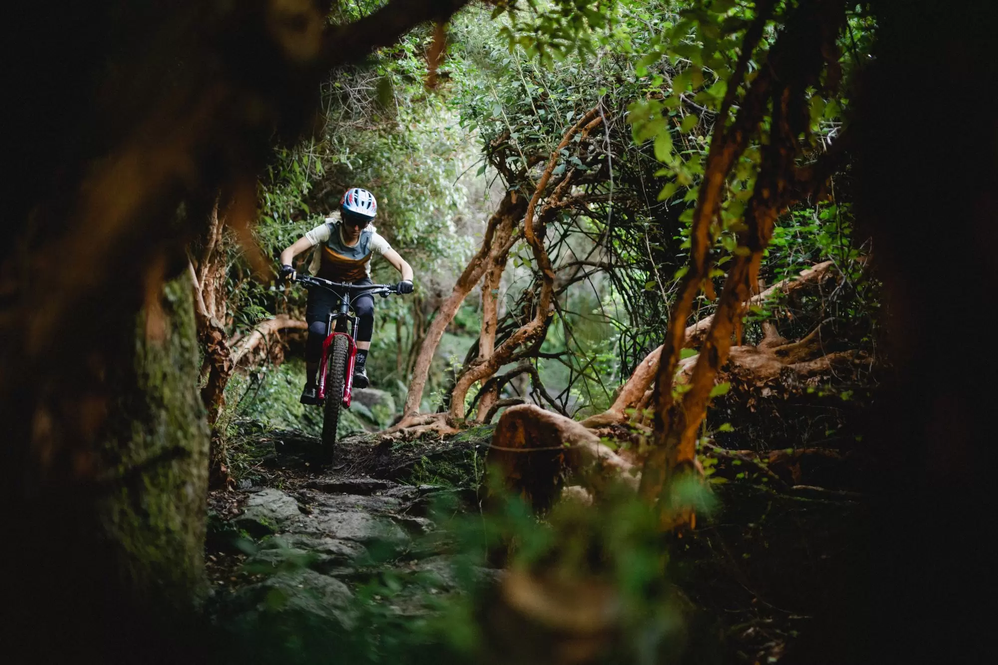 Wanaka-NZ-Mountain-Biker-Bike-Glendhu-forest-tech-CallumWood